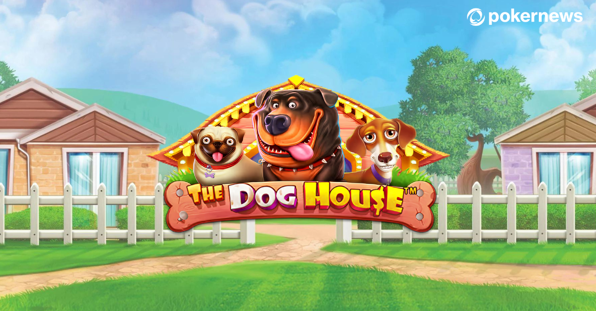 Слот The Dog House в Vavada Casino